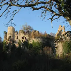 Château de Morimont