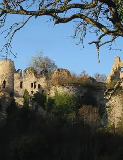 Château de Morimont