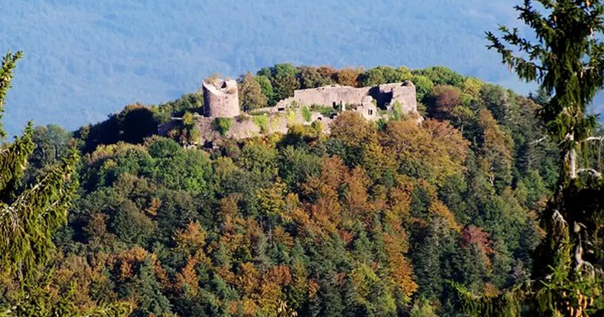 Les ruines du château du Frankenbourg