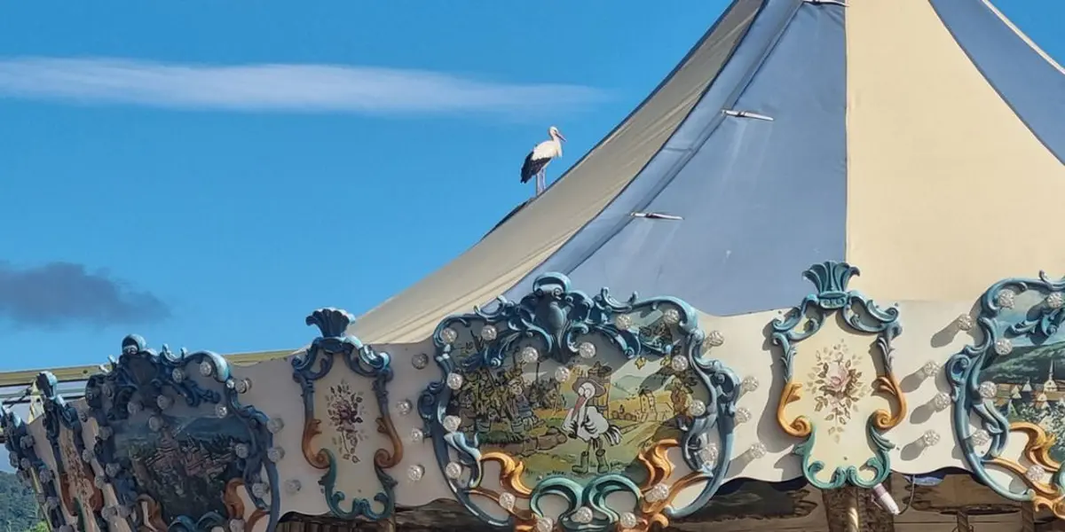 Les cigognes de Cigoland vous attendent pour cette nouvelle saison