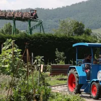 Les tracteurs d'Hansi avec vue sur le Train de la Mine &copy; Cigoland