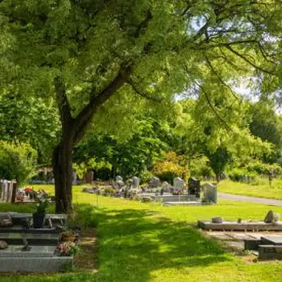Cimetière Parc / Arboretum