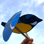 Ciné-atelier « Ma marionnette mésange »