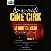 Ciné cirk