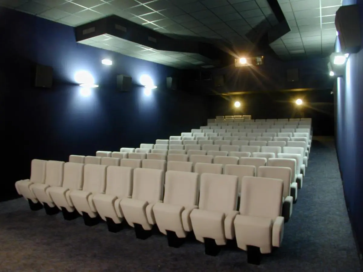 Ciné-concert : Contes et Silhouettes