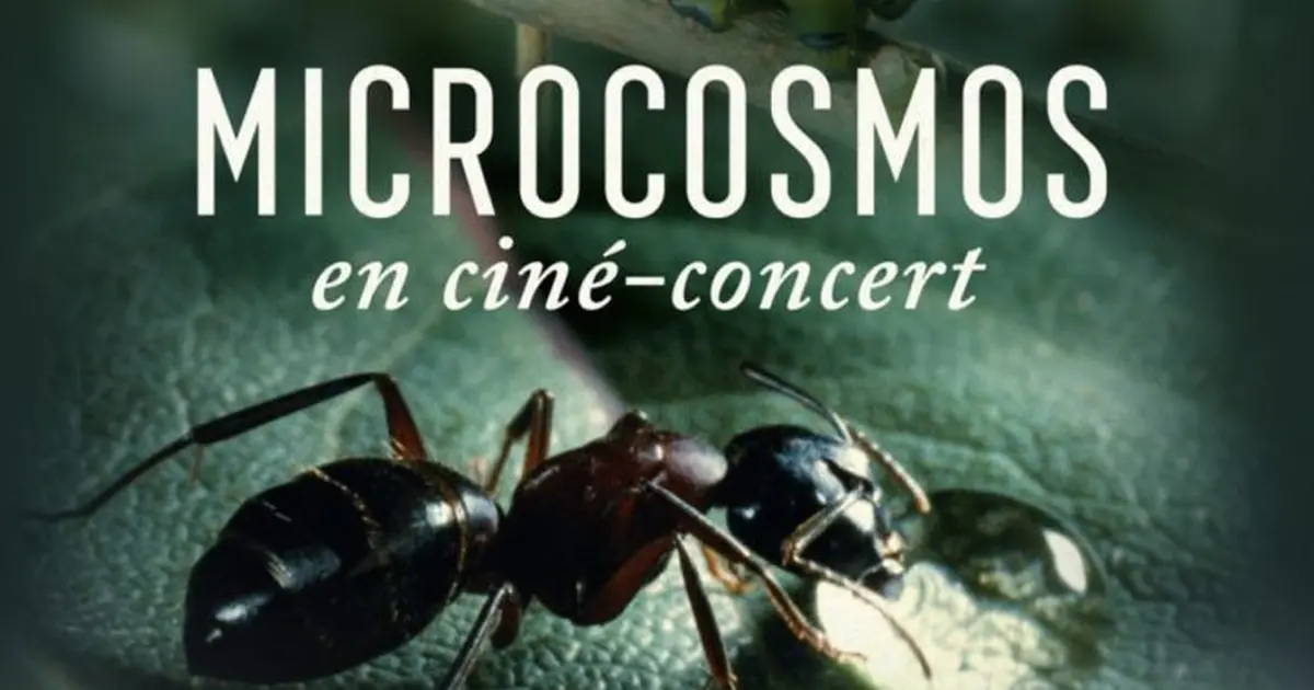 Ciné concert Microcosmos, le peuple de l'herbe