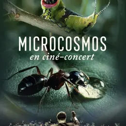 Ciné concert Microcosmos, le peuple de l'herbe