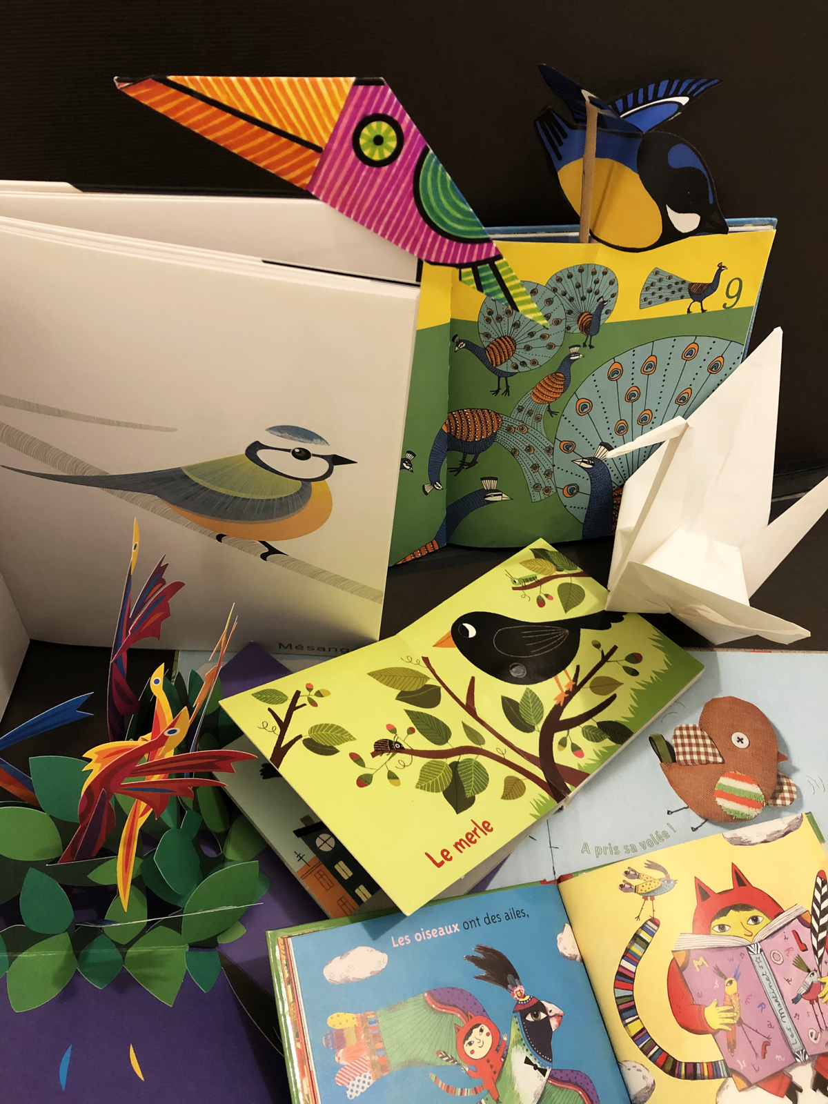 Ciné-conte Portrait d’oiseaux