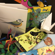 Ciné-conte Portrait d’oiseaux