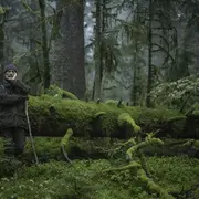 Ciné-crêpes : Le chant des forêts