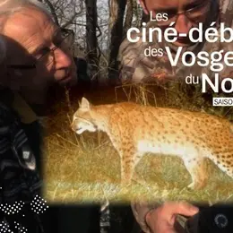Ciné-débat - Chasseurs, proies, lynx