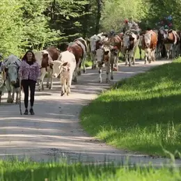 Ciné débat Kelly et les bergères en présence de l'autrice FLorence Debove