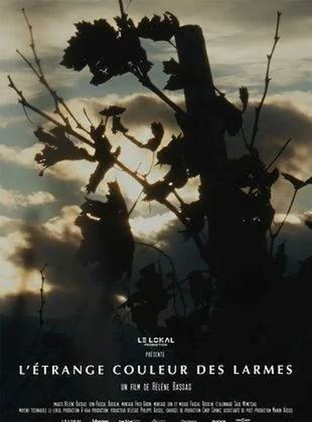 Ciné Débat l'étrange couleur des larmes