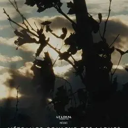 Ciné Débat l'étrange couleur des larmes