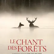 Ciné-Débat – Le Chant Des Forêts
