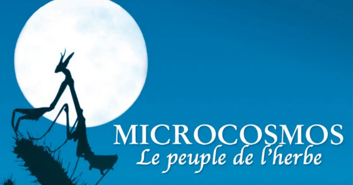 Ciné des jeunes - Microcosmos : le peuple de l’herbe