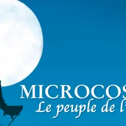 Ciné des jeunes - Microcosmos : le peuple de l’herbe