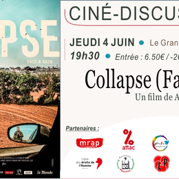 Ciné-discussion autour de Collapse