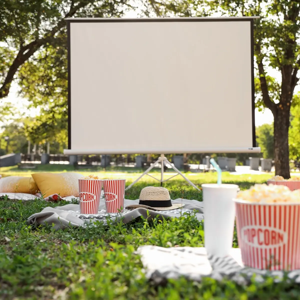 Cinéma en plein air à Strasbourg en 2026