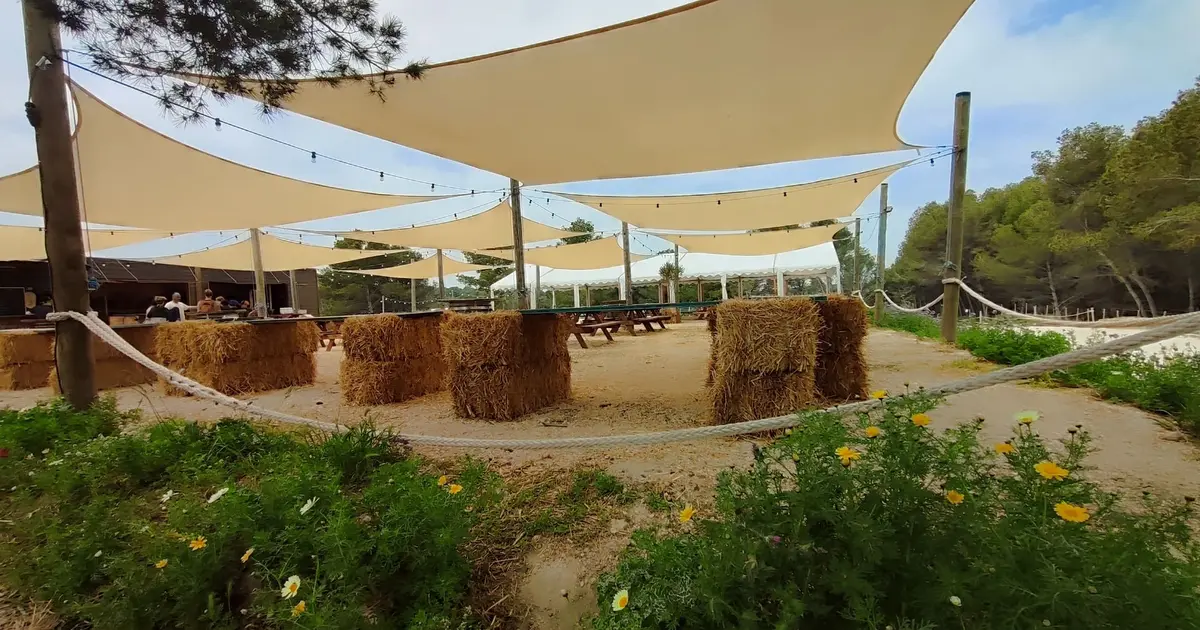 Ciné gourmand sous les étoiles à la ferme Aïoli Caganis
