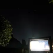 Ciné-grimpe d’arbre