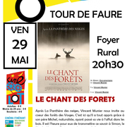 Ciné-Lot : Le chant des forêts
