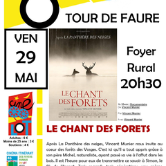 Ciné-Lot : Le chant des forêts
