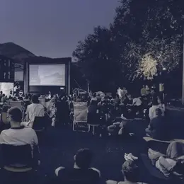 Ciné-noctambule