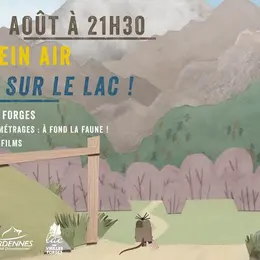 Ciné Plein Air Courts sur le lac !