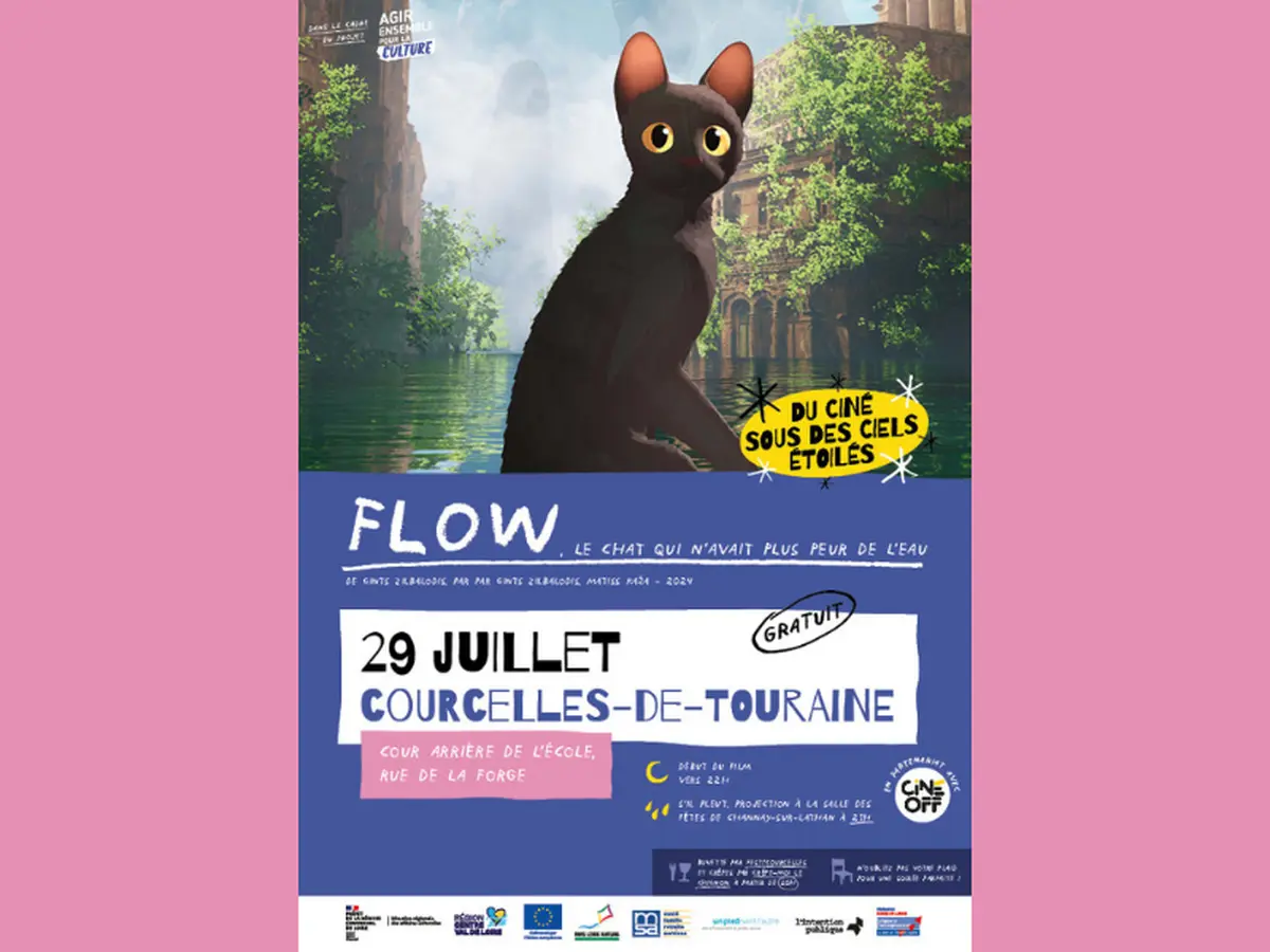 Ciné plein air Flow, le chat qui n'avait plus peur de l'eau