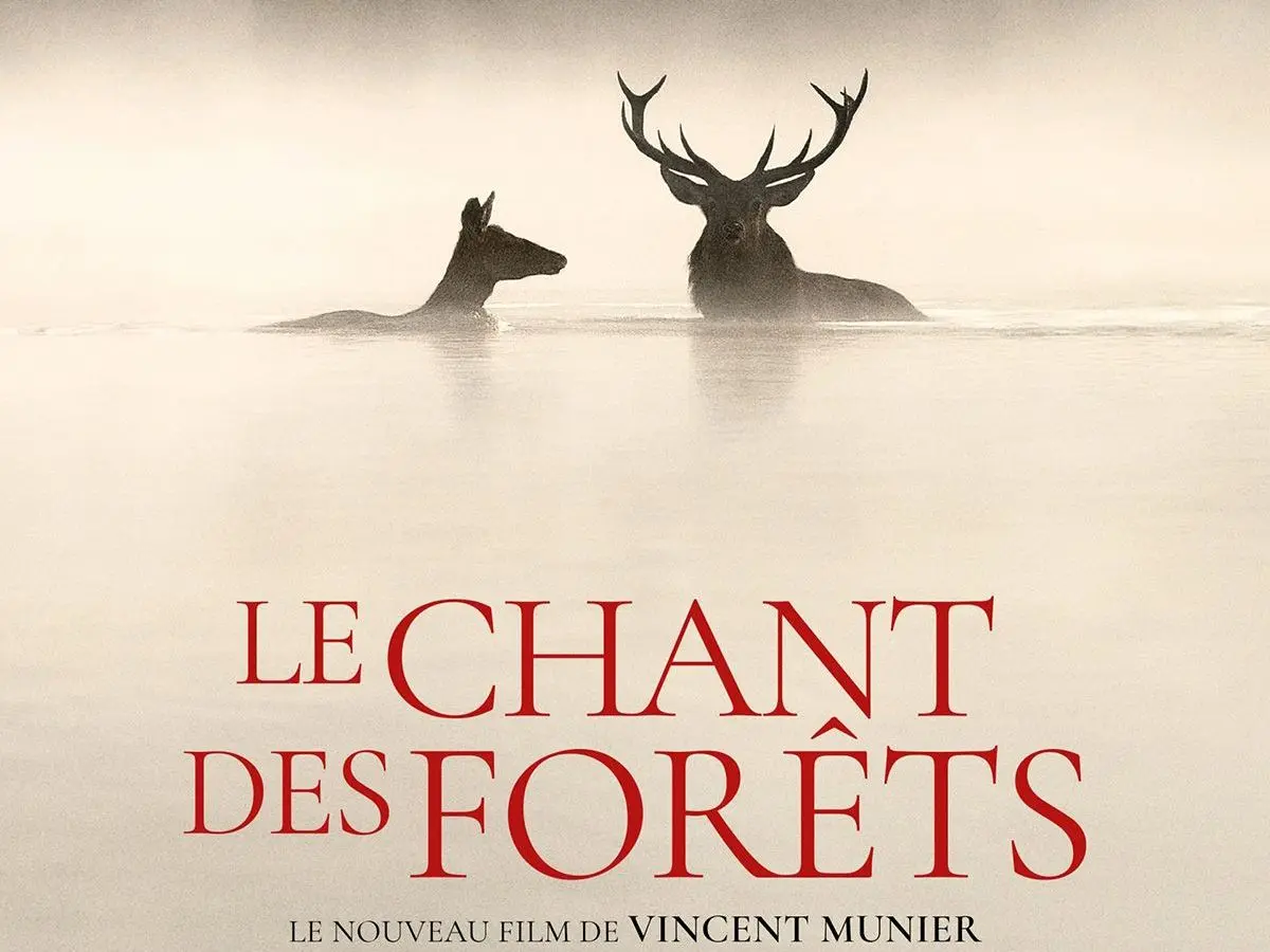 Ciné Plus Limousin - Le chant des forêts