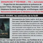 Ciné-rencontre à Figeac : chauves-souris, les sentinelles de la forêt