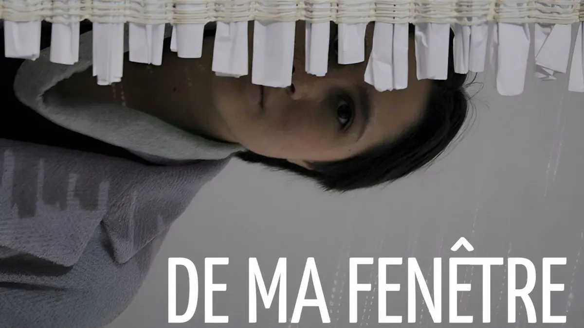 Ciné-rencontre : De ma fenêtre - Carnets de LVIV