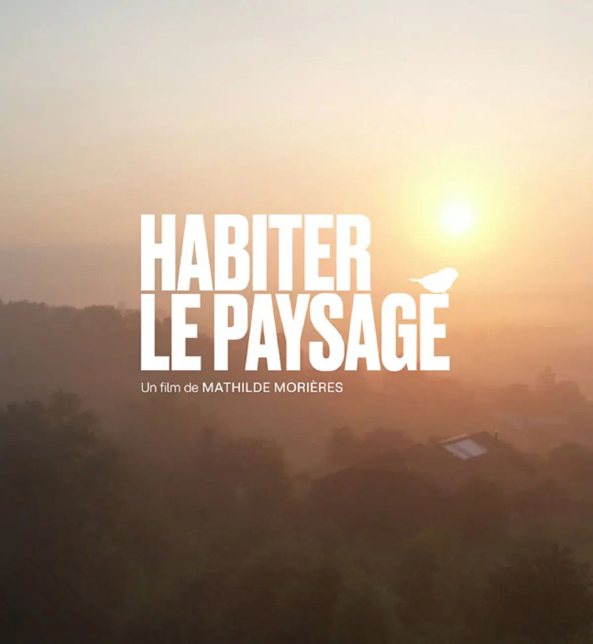 Ciné rencontre : habiter le paysage