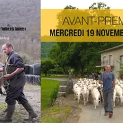 Ciné Rencontre : Invisibles Mais Infiniment Précieux