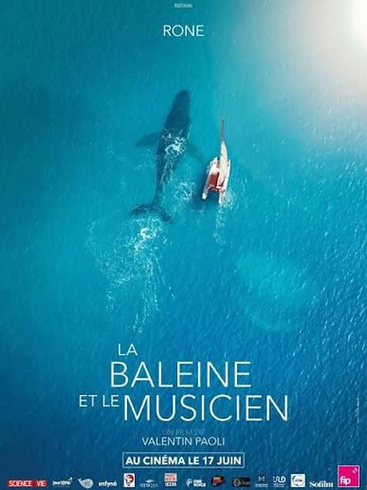 Ciné Rencontre - La Baleine et le musicien