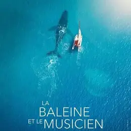 Ciné Rencontre - La Baleine et le musicien