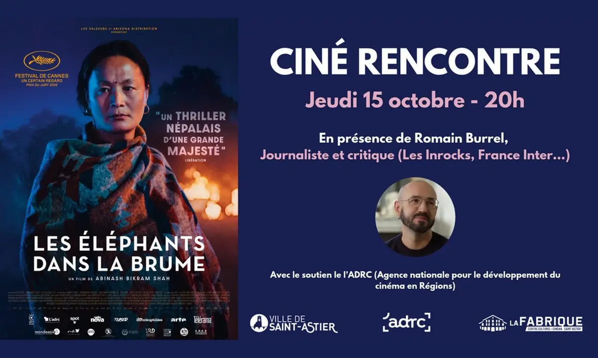 Ciné-rencontre Les éléphants dans la brume