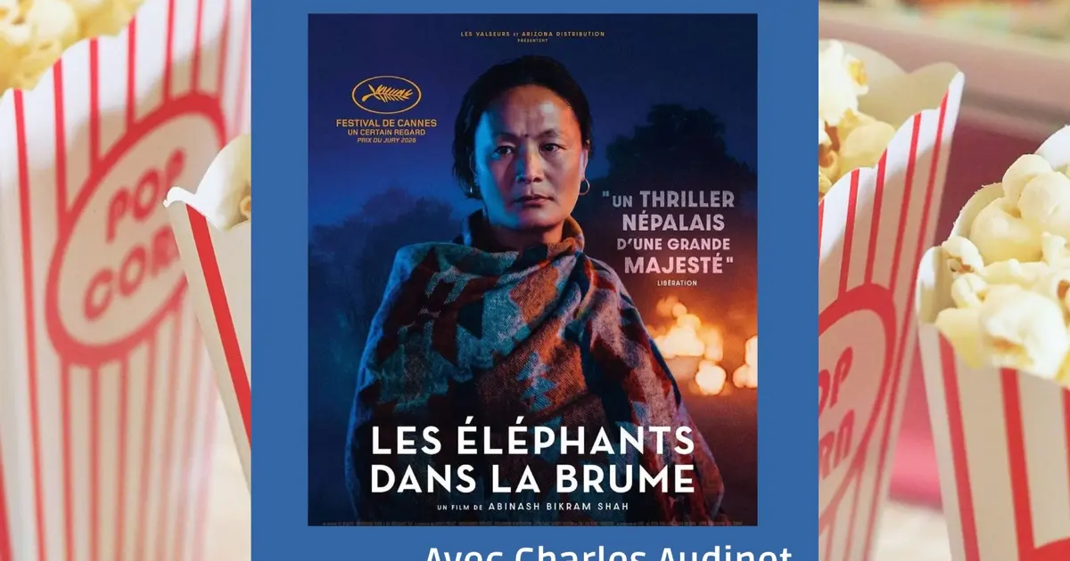 Ciné-rencontre : Les éléphants dans la brume