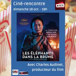 Ciné-rencontre : Les éléphants dans la brume