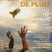 Ciné-Rencontre : Les Oiseaux De Pluie