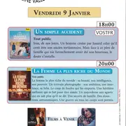 Ciné vallée - La femme la plus riche du monde