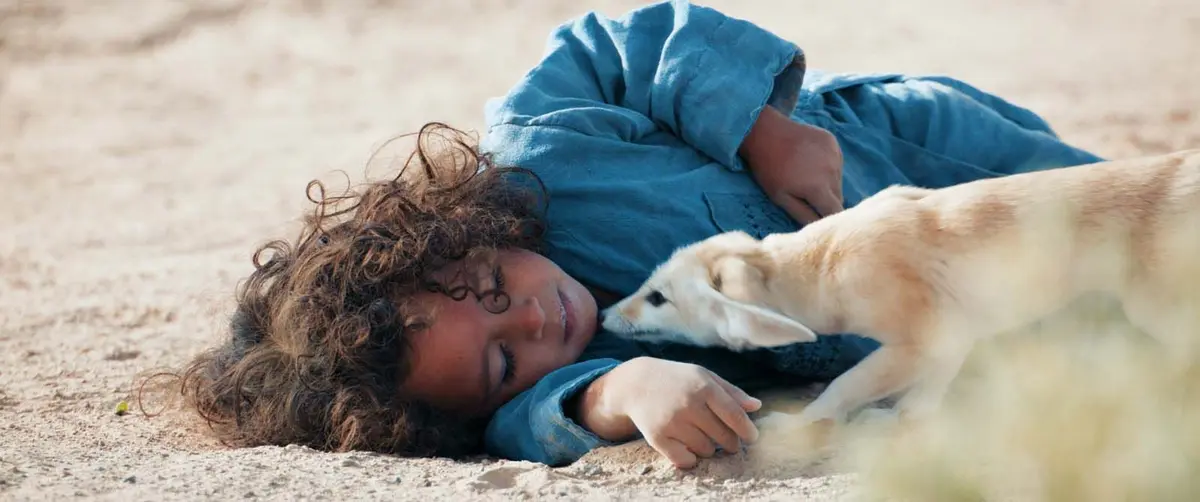 Cinéco : L'Enfant Du Désert