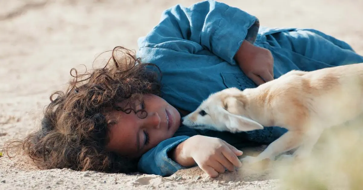 Cinéco : L'Enfant Du Désert