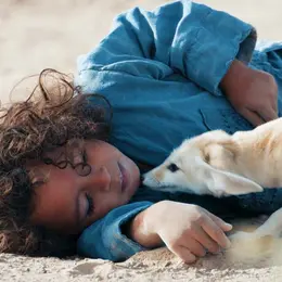 Cinéco : L'Enfant Du Désert