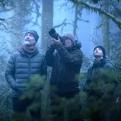 Cinéco : Le Chant Des Forêts