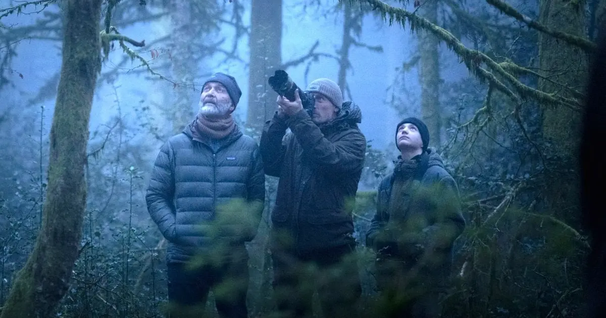 Cinéco : Le Chant Des Forêts
