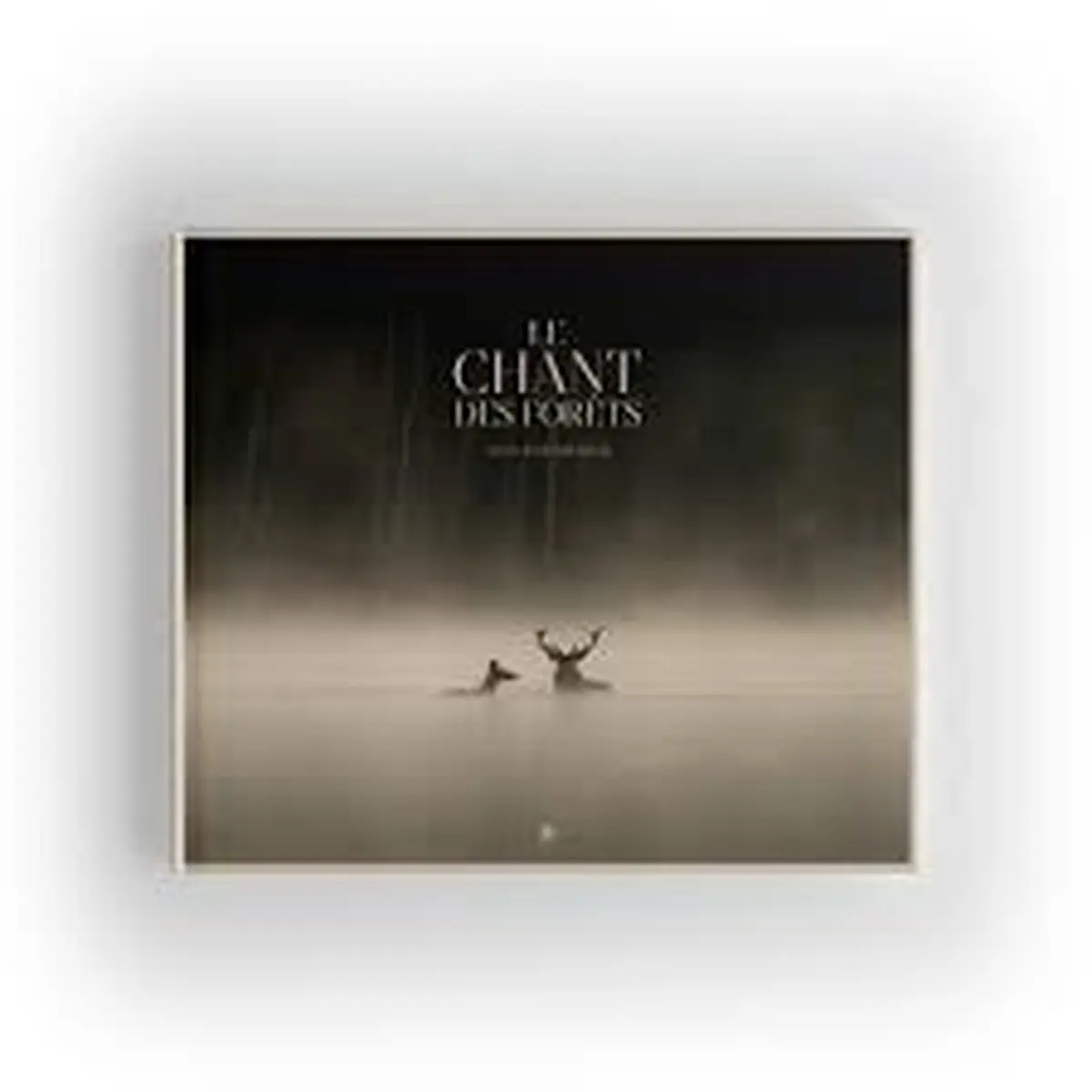 Cineco : Le Chant Des Forets