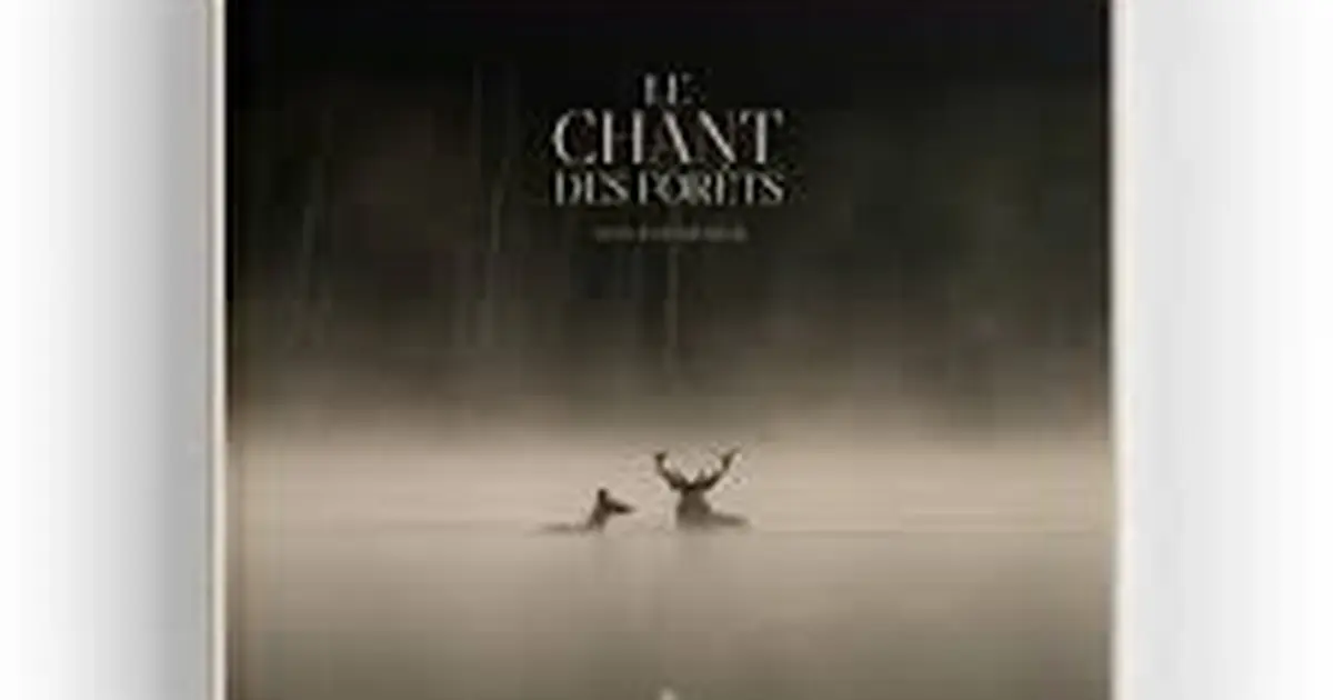 Cineco : Le Chant Des Forets