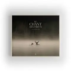 Cineco : Le Chant Des Forets
